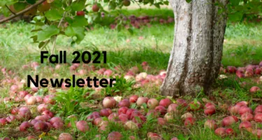 IFIC Food Insights Fall 2021 Newsletter