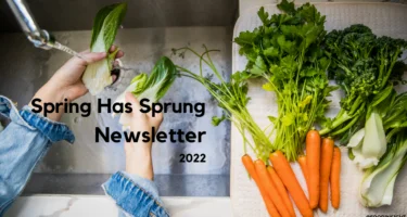 Spring Has Sprung Newsletter 2022
